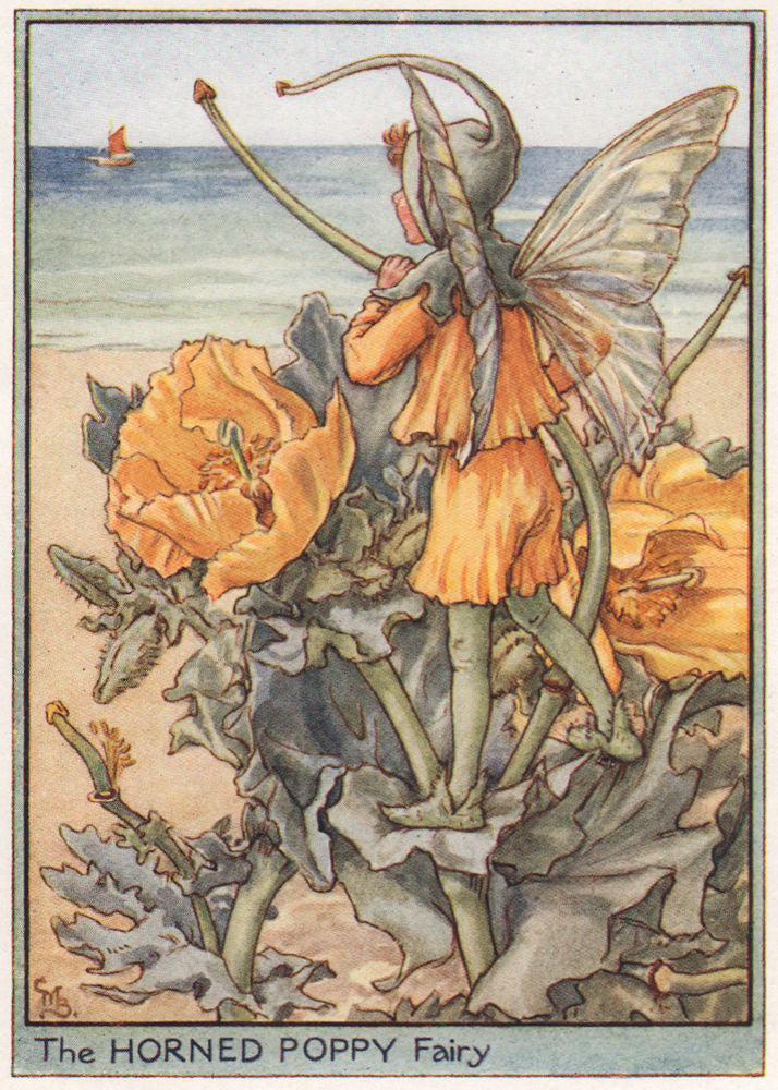 Horned Poppy Fairy by Cicely Mary Barker. Wayside Flower Fairies c1948 print